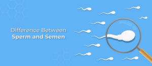 Difference Between Sperm and Semen